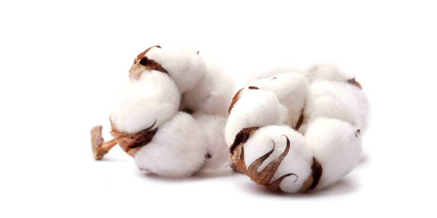 krátky sprievodca vape bavlny vás oboznámi s hlavnými vlastnosťami a typmi organickej bavlny